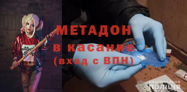 индика Гусев