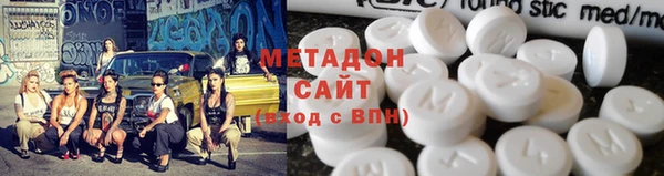 индика Гусев