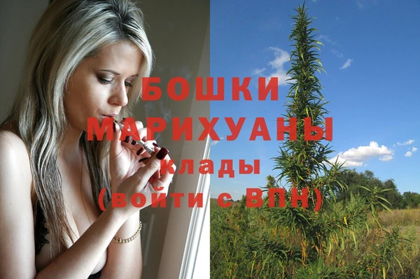 соль ск Гусиноозёрск