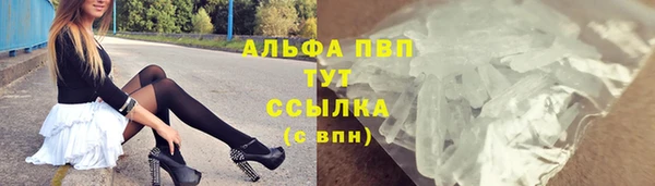 индика Гусев