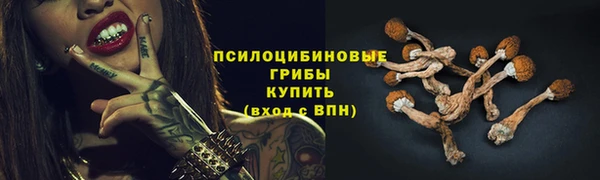 соль ск Гусиноозёрск