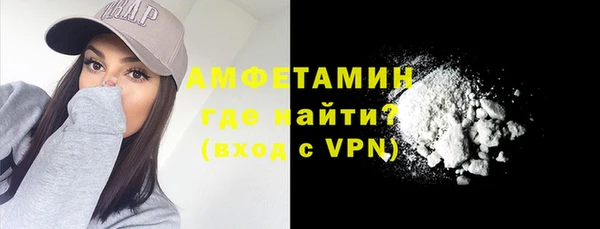индика Гусев