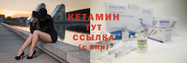 индика Гусев