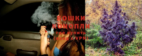 индика Гусев