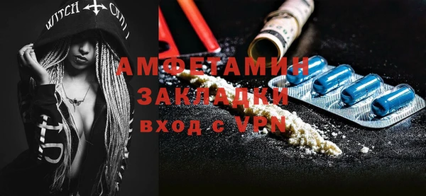 индика Гусев
