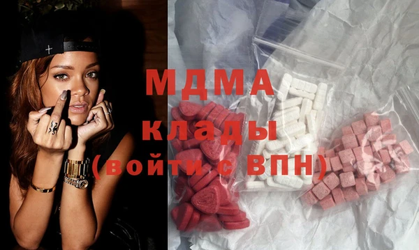 индика Гусев