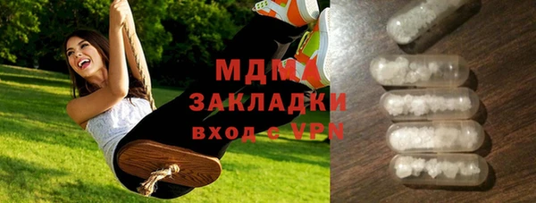 индика Гусев