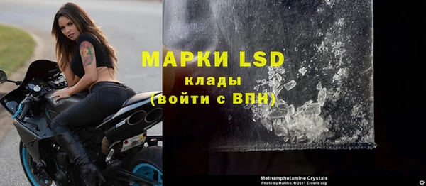 индика Гусев