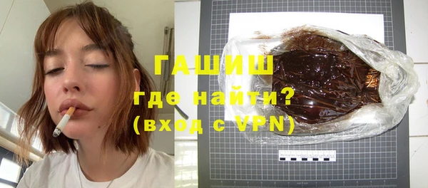 индика Гусев