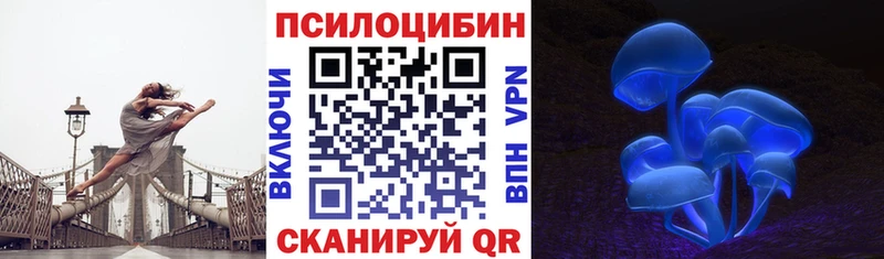 купить Оха Псилоцибиновые грибы Cubensis