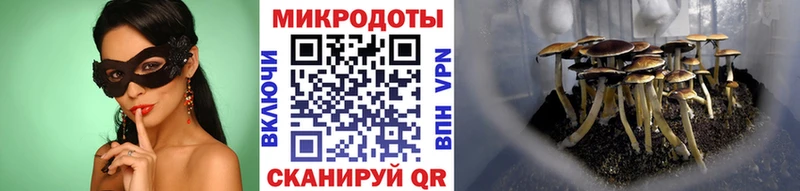 Псилоцибиновые грибы Magic Shrooms Оха